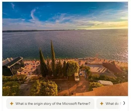 The Microsoft Partner is dead